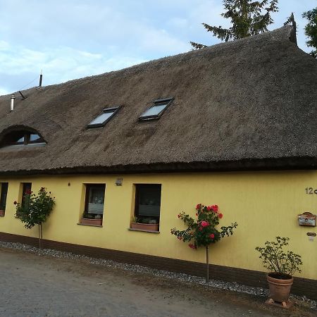 Ferienwohnung Otto Rappin Bagian luar foto